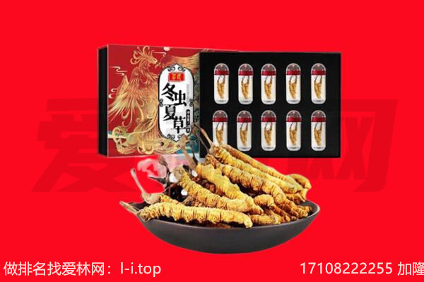 六安叶集区回收虫草.jpg